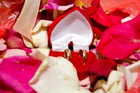 /album/svadebnaya-fotosemka/dsc-0002-jpg1/