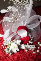 /album/svadebnaya-fotosemka/dsc0034-1-jpg1/